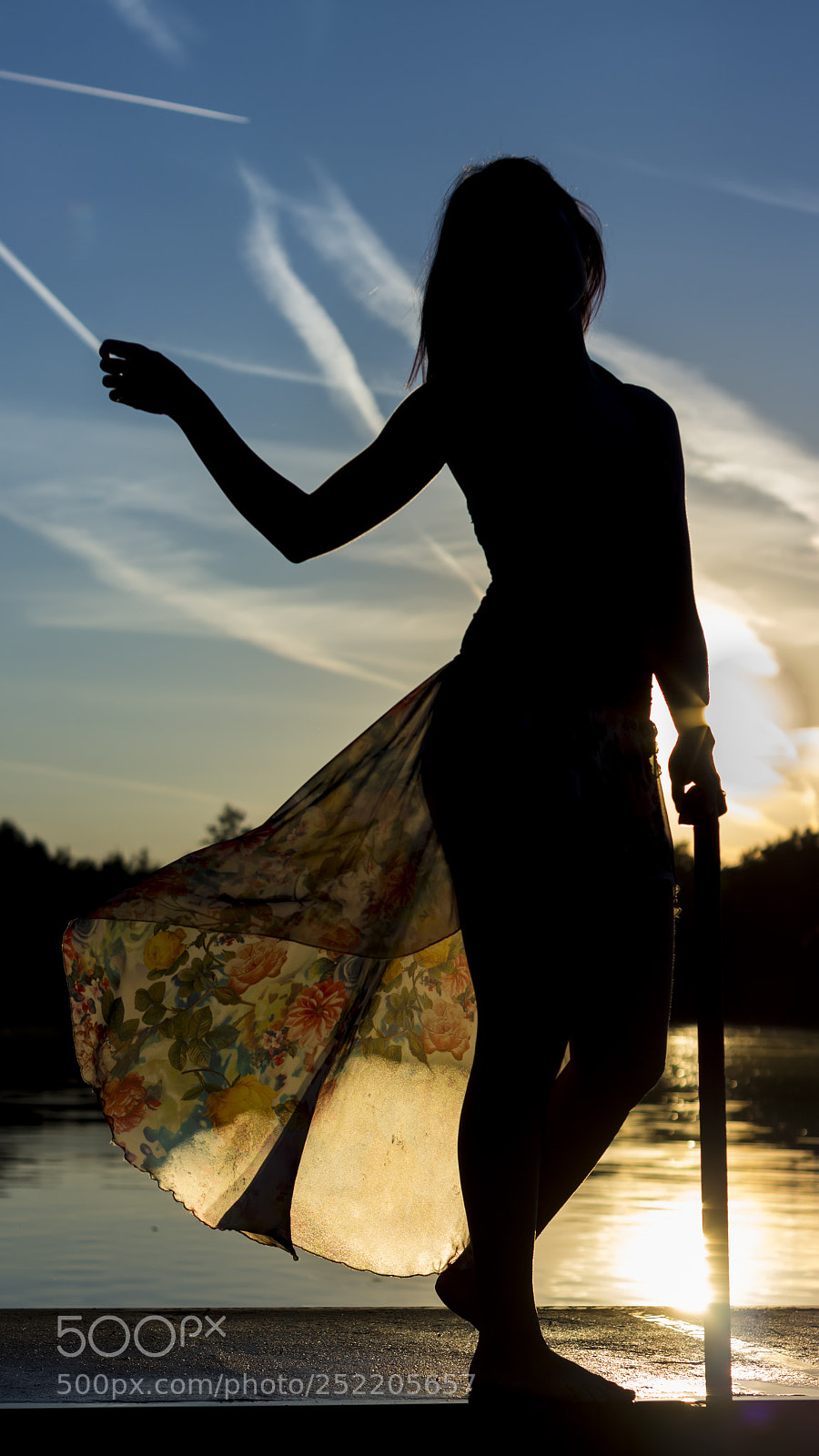 Canon EOS 700D (EOS Rebel T5i / EOS Kiss X7i) sample photo. Silhouette photography