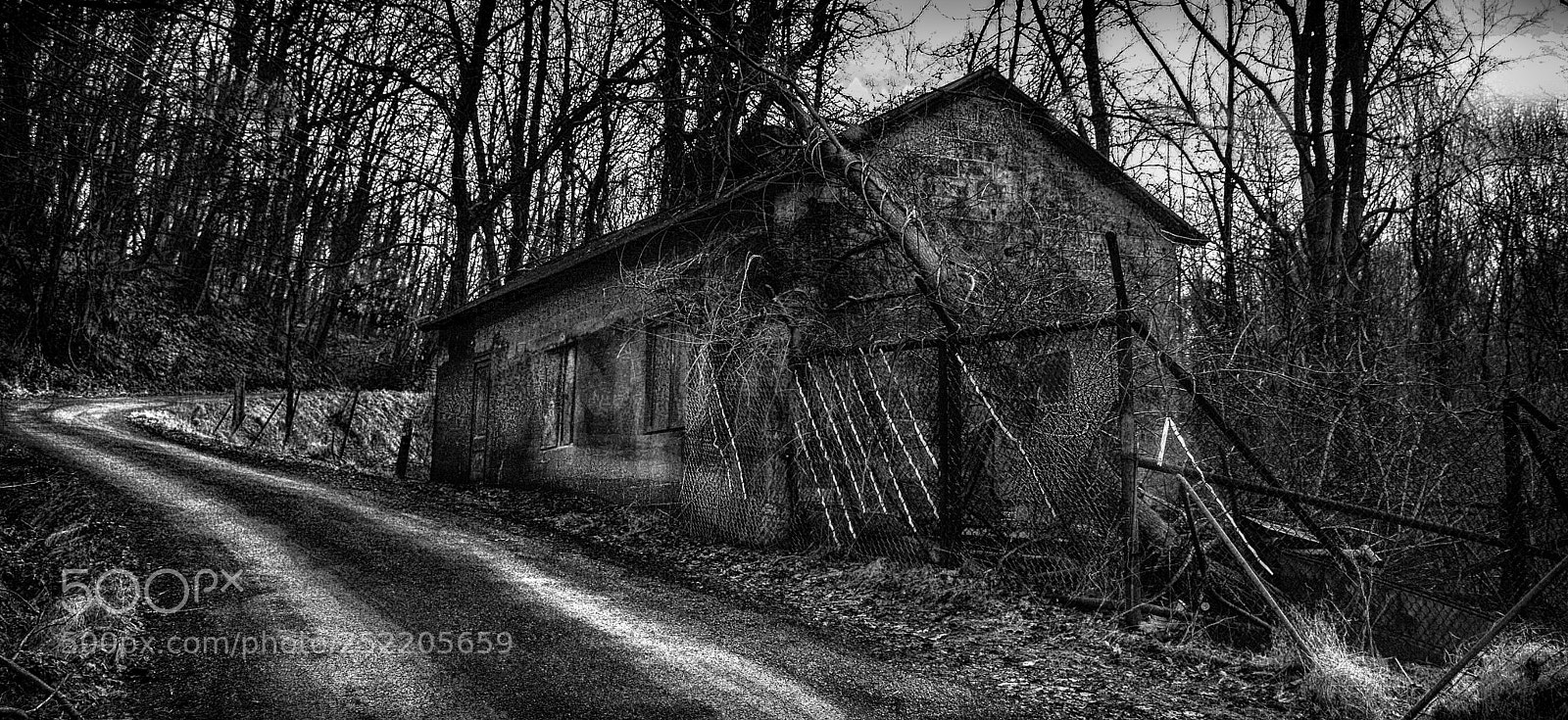 Nikon D7100 sample photo. Abandoned by the side photography