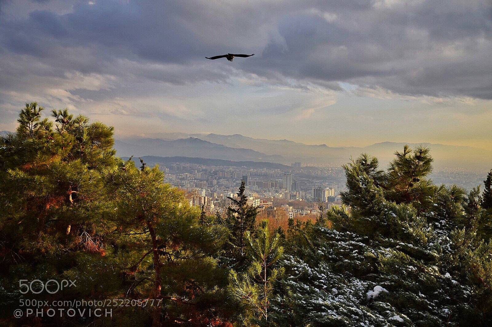 Nikon D5300 sample photo. Untitled photography