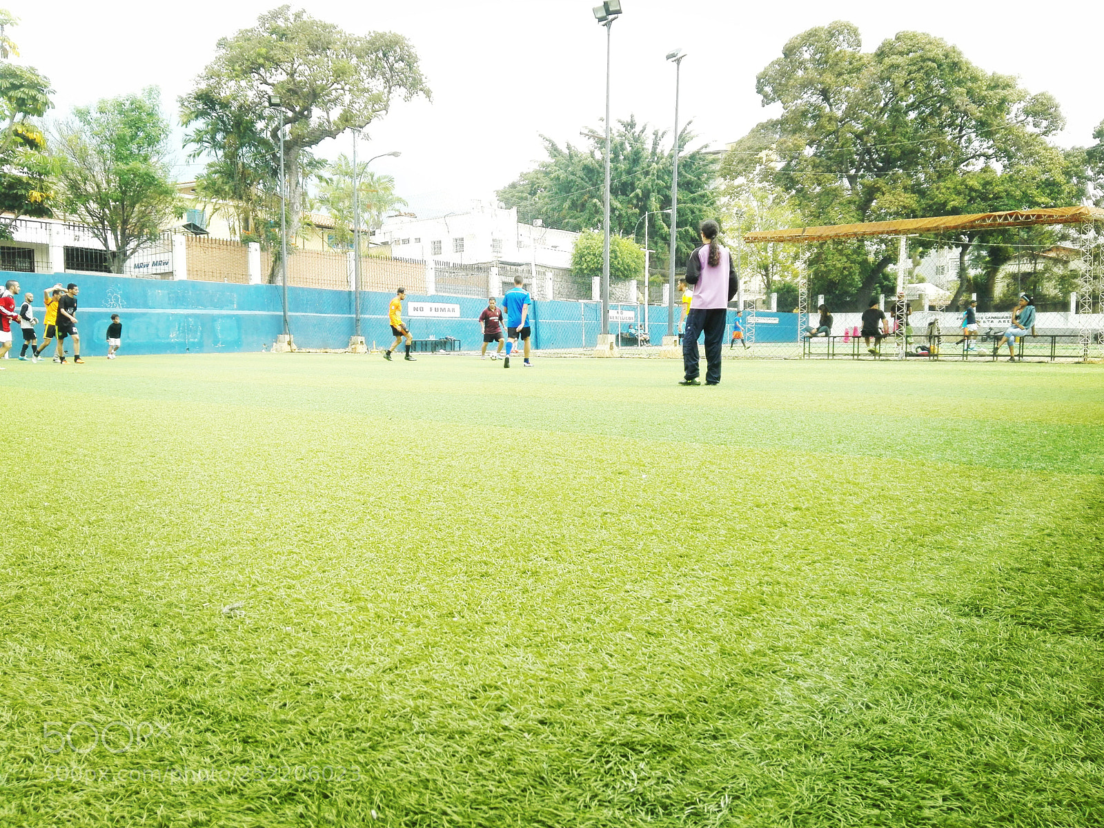 HUAWEI P8 Lite sample photo. Untitled photography