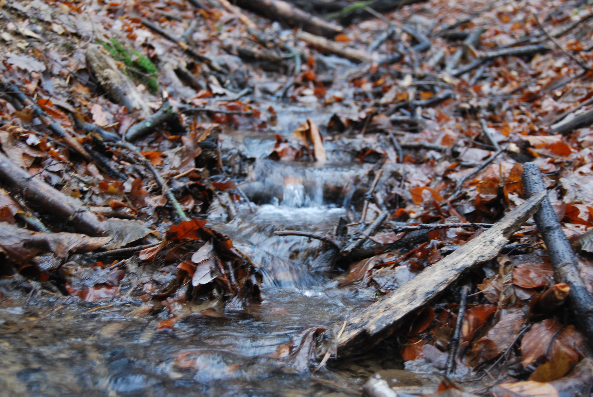 Nikon D60 sample photo. Water stairs photography