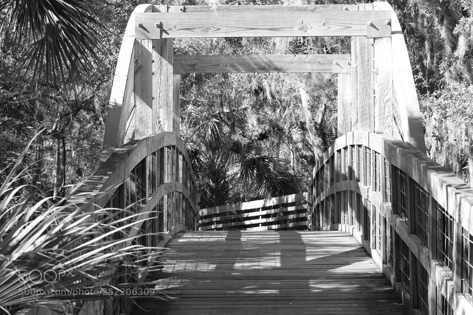 Canon EF 75-300mm f/4-5.6 sample photo. Arch photography
