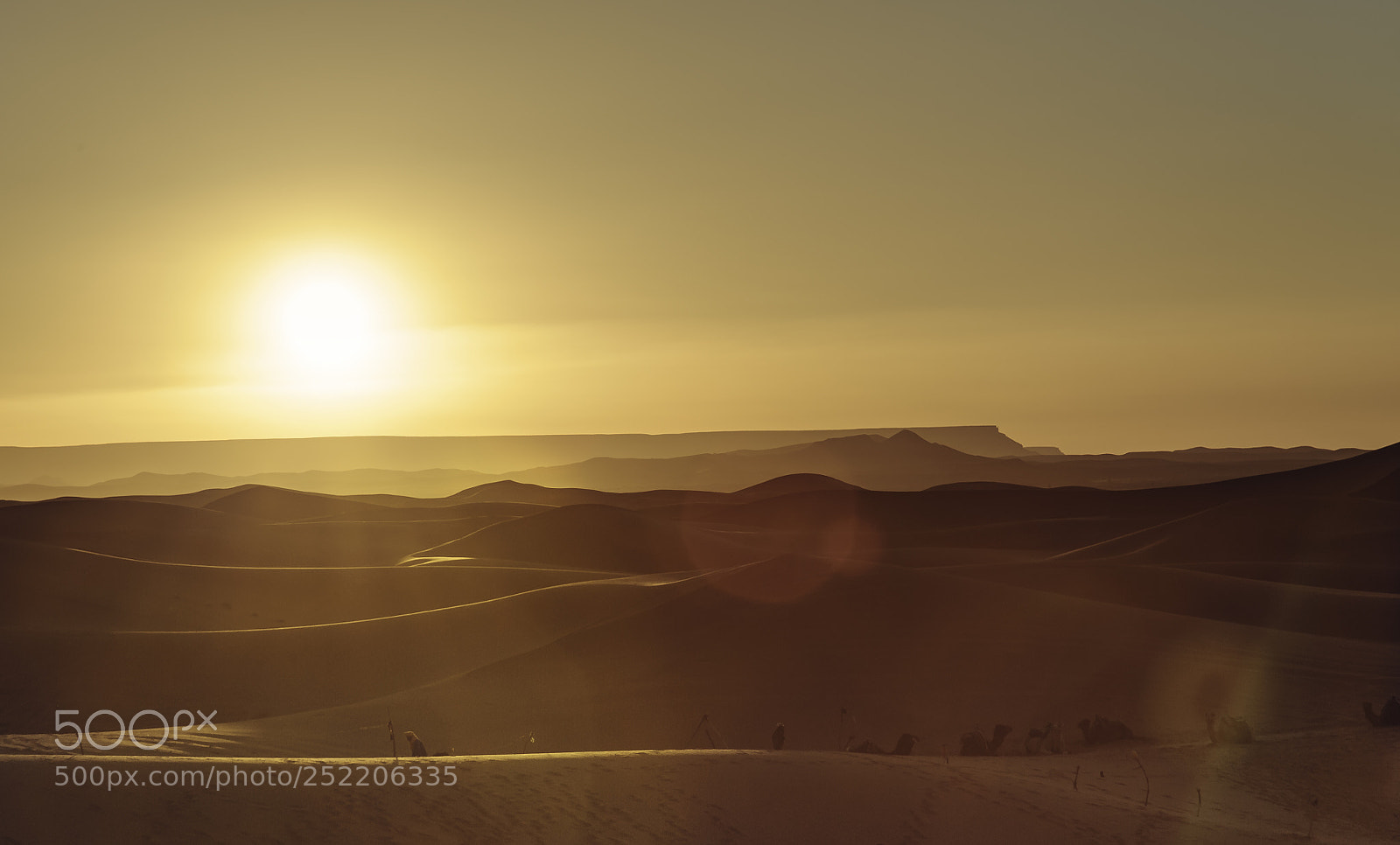 Nikon D700 sample photo. Erg chebbi photography