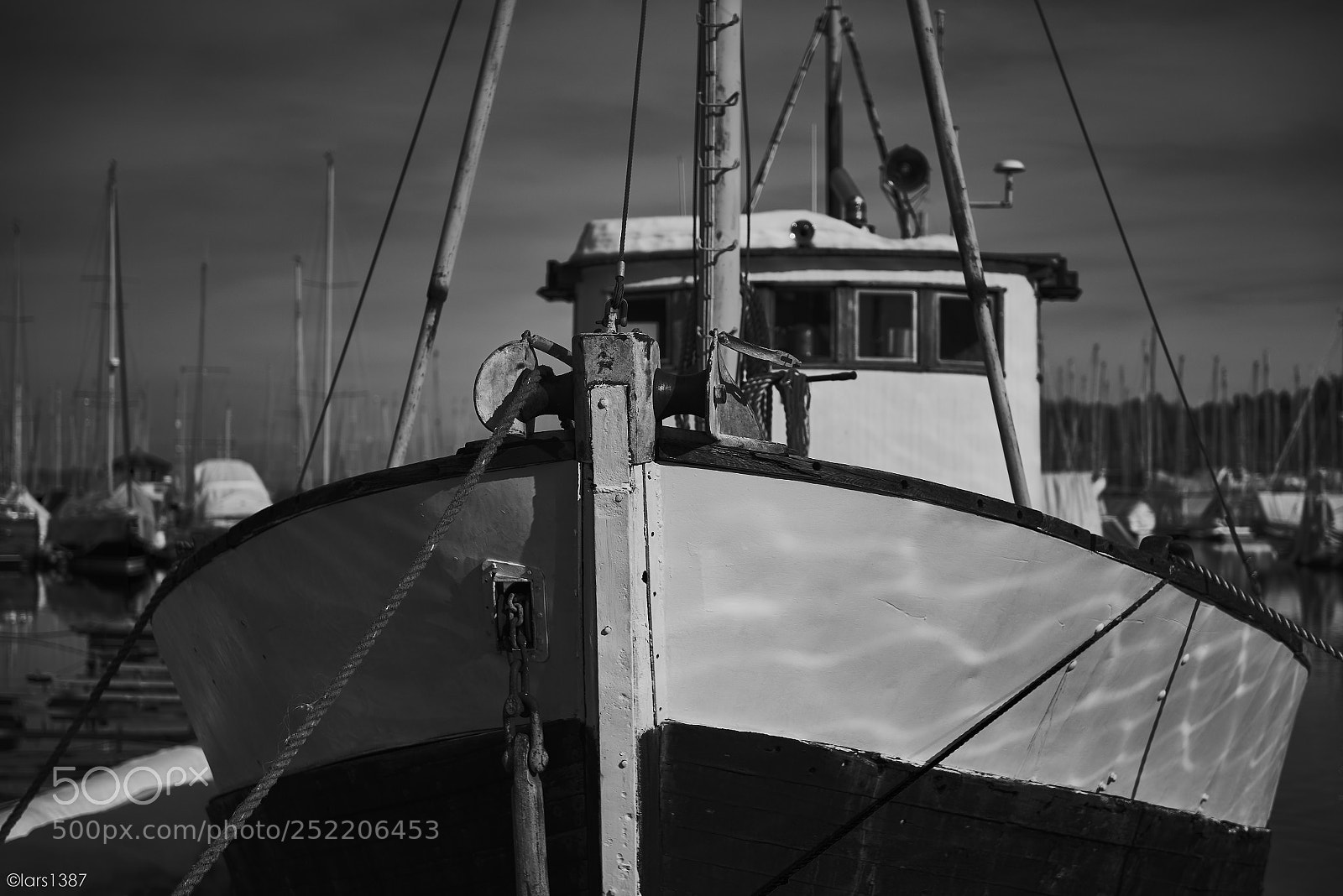 Nikon D810 sample photo. In the marina photography