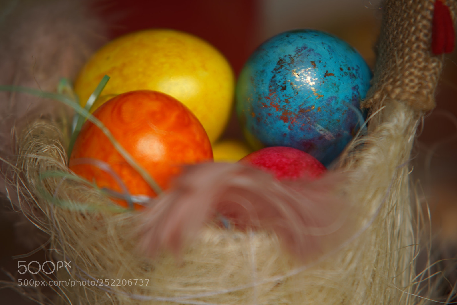 Sony a7R sample photo. Dsc photography