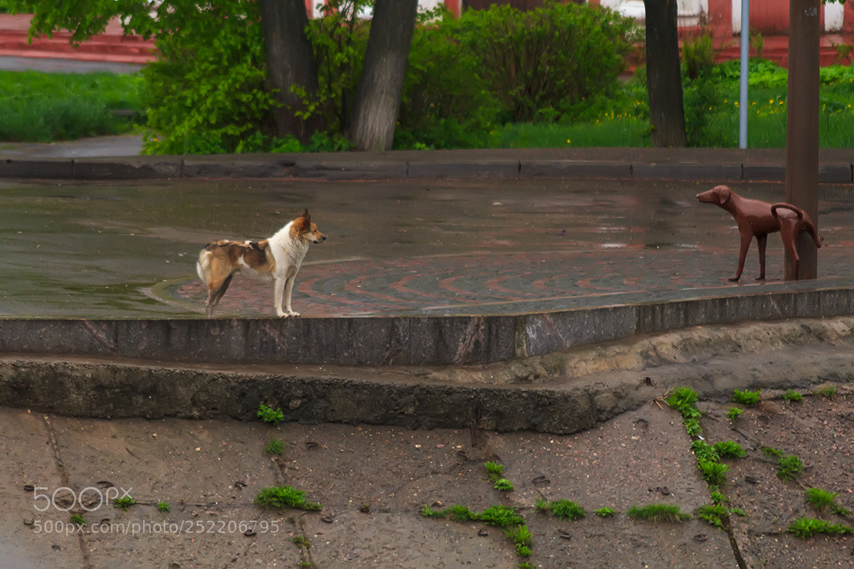 Canon EOS 600D (Rebel EOS T3i / EOS Kiss X5) sample photo. Первая встреча / the first meeting photography