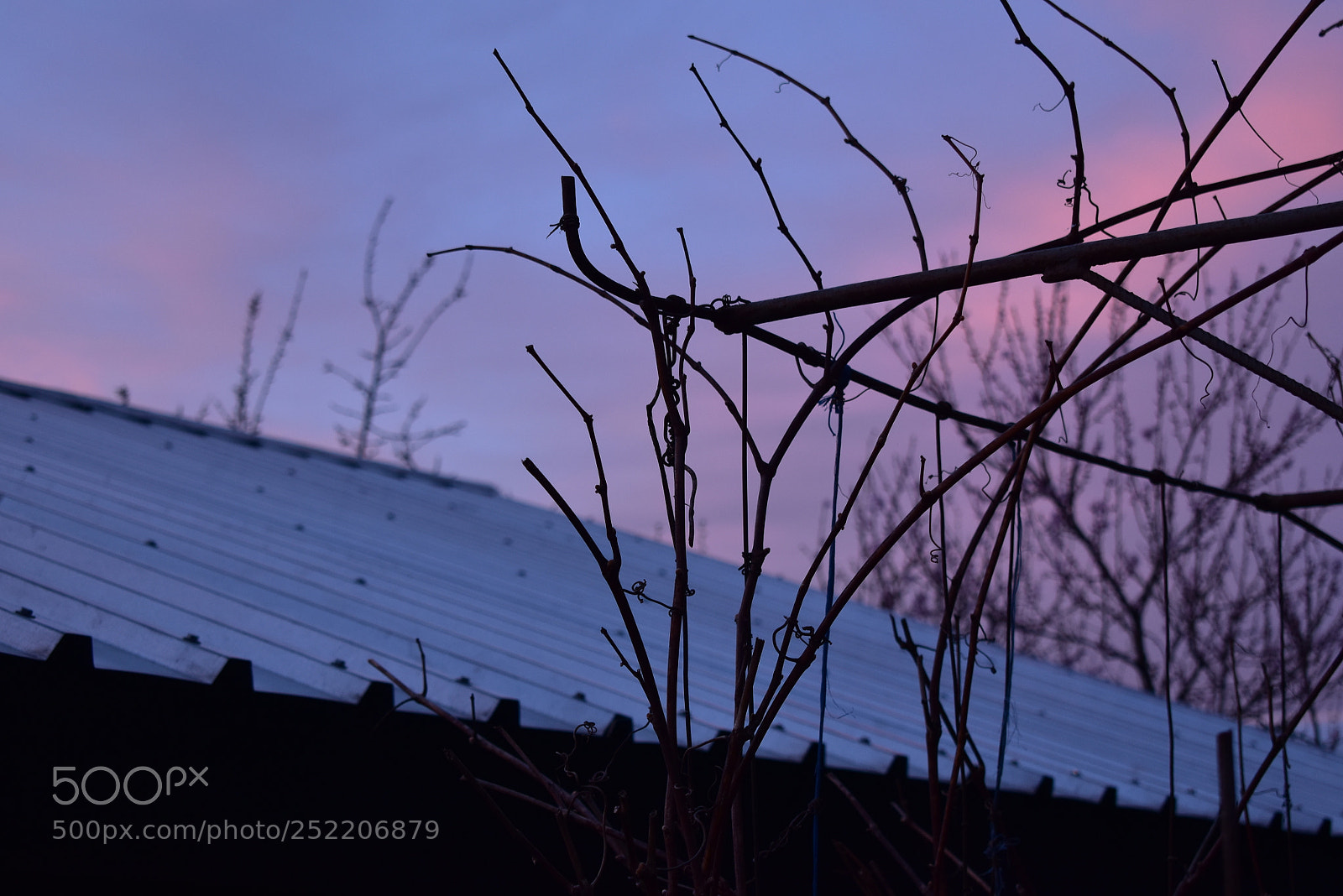 Nikon D5600 sample photo. Untitled photography