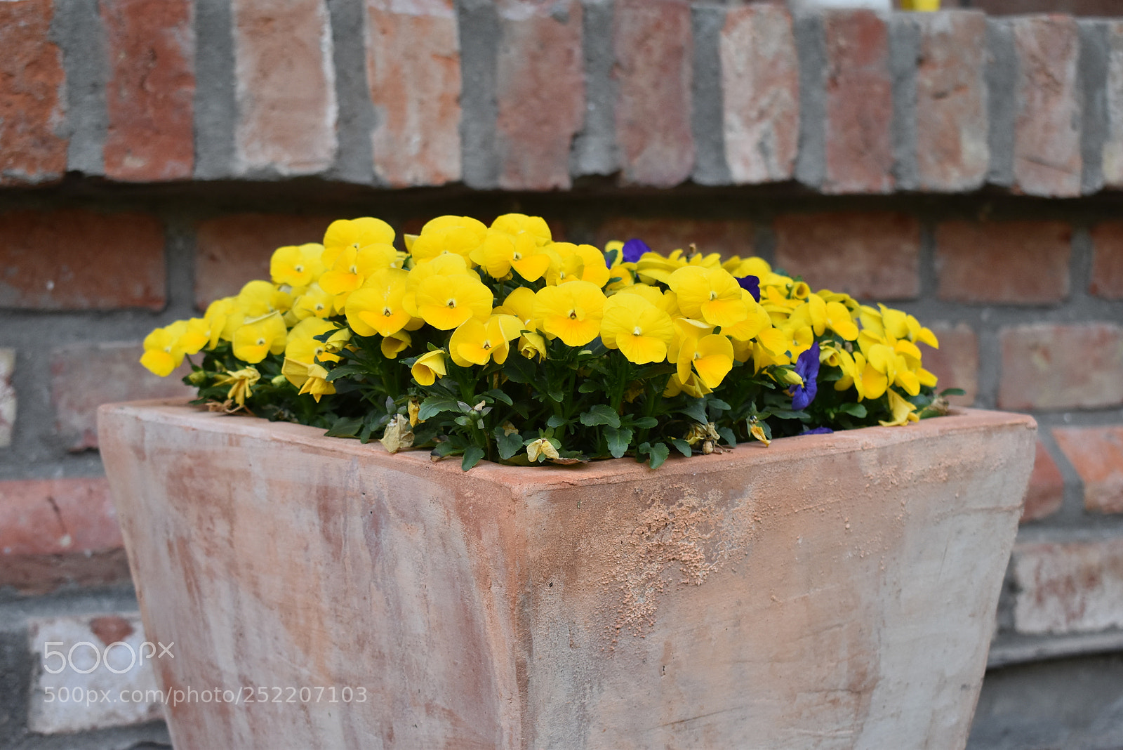 Nikon D5600 sample photo. Untitled photography