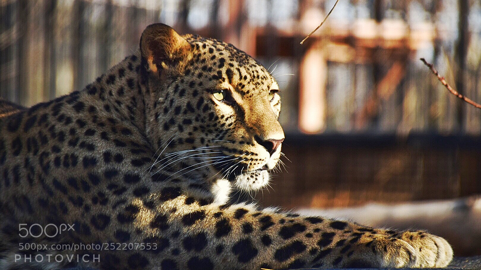 Nikon D5300 sample photo. Untitled photography