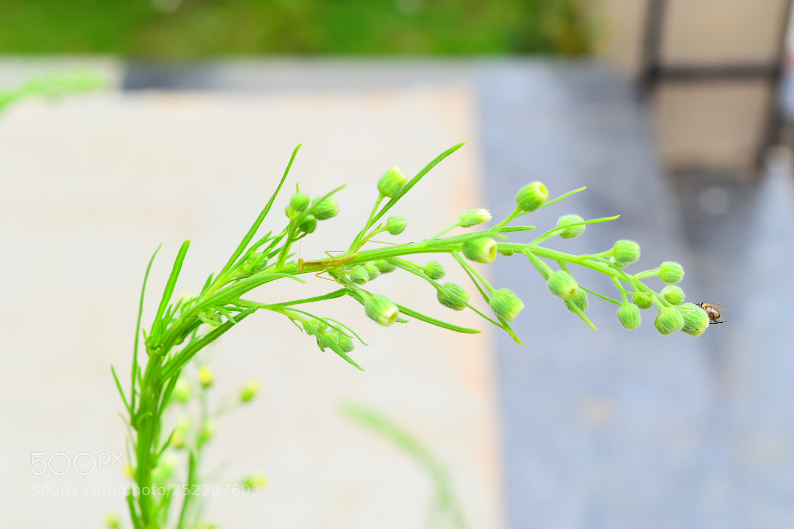 Nikon D5500 sample photo. Untitled photography