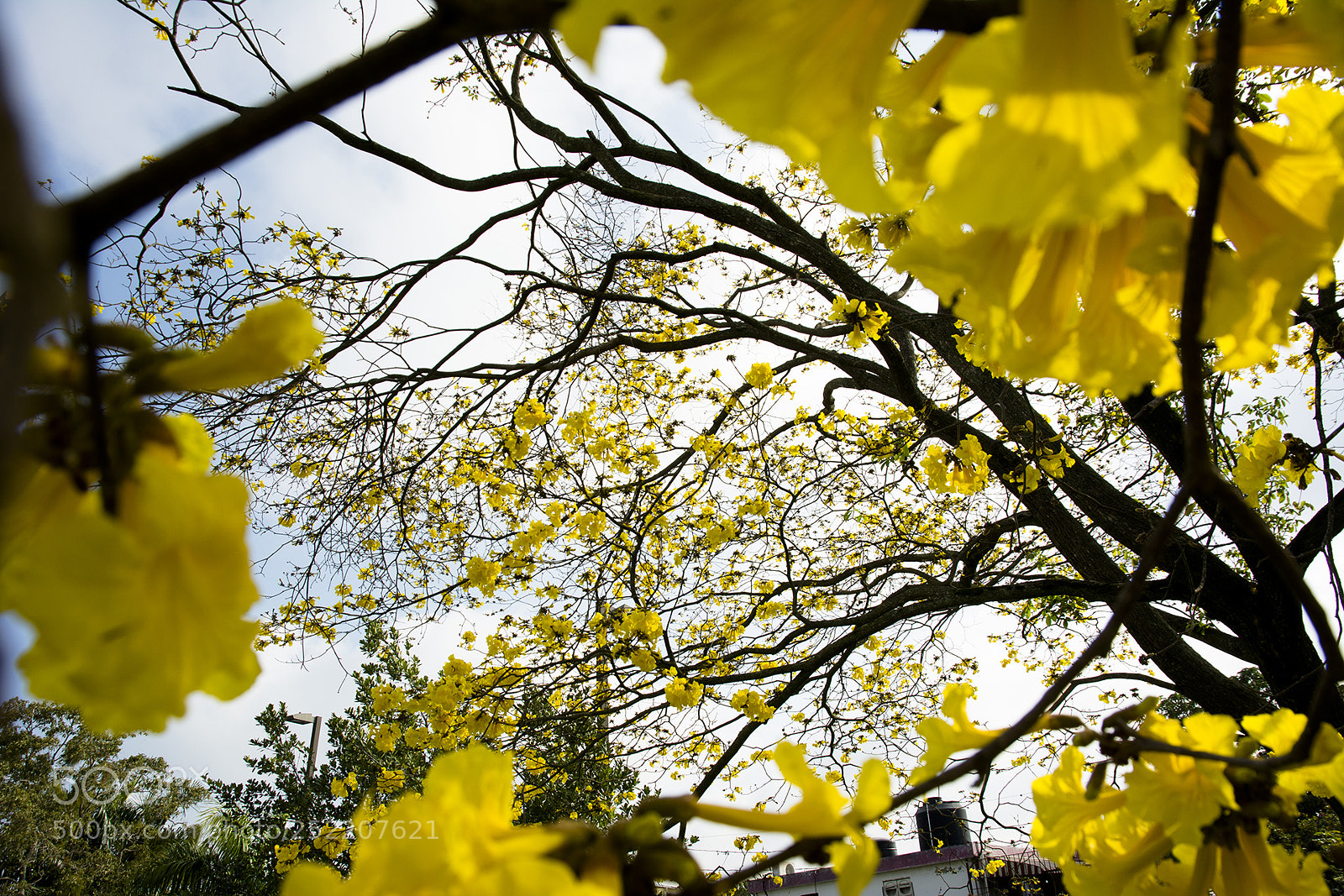Nikon D7100 sample photo. Spring is here photography