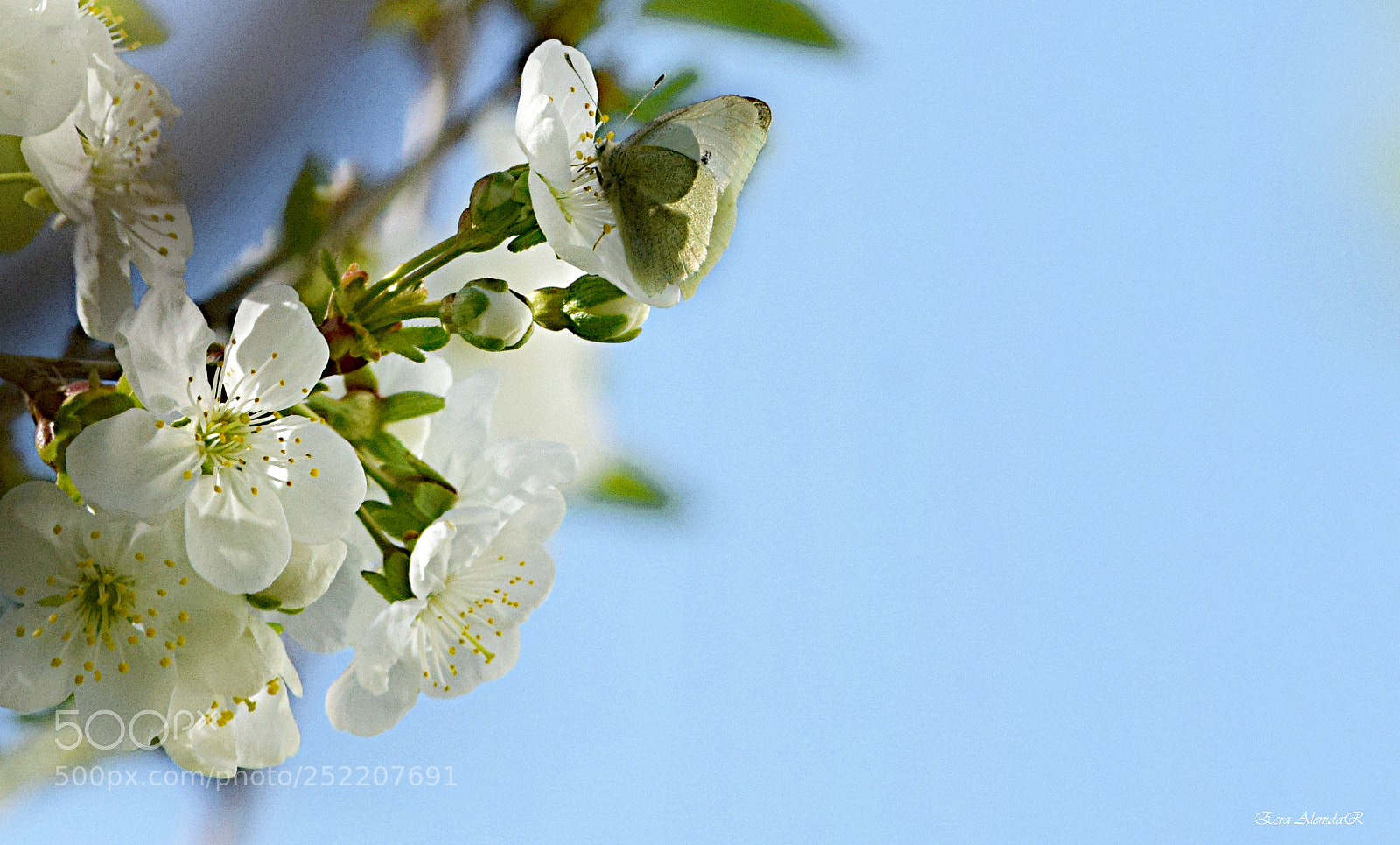 Nikon D3300 sample photo. 04.04.2018 photography