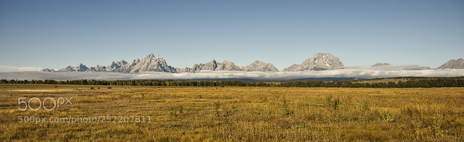 Nikon D90 sample photo. Grand tetons national park photography