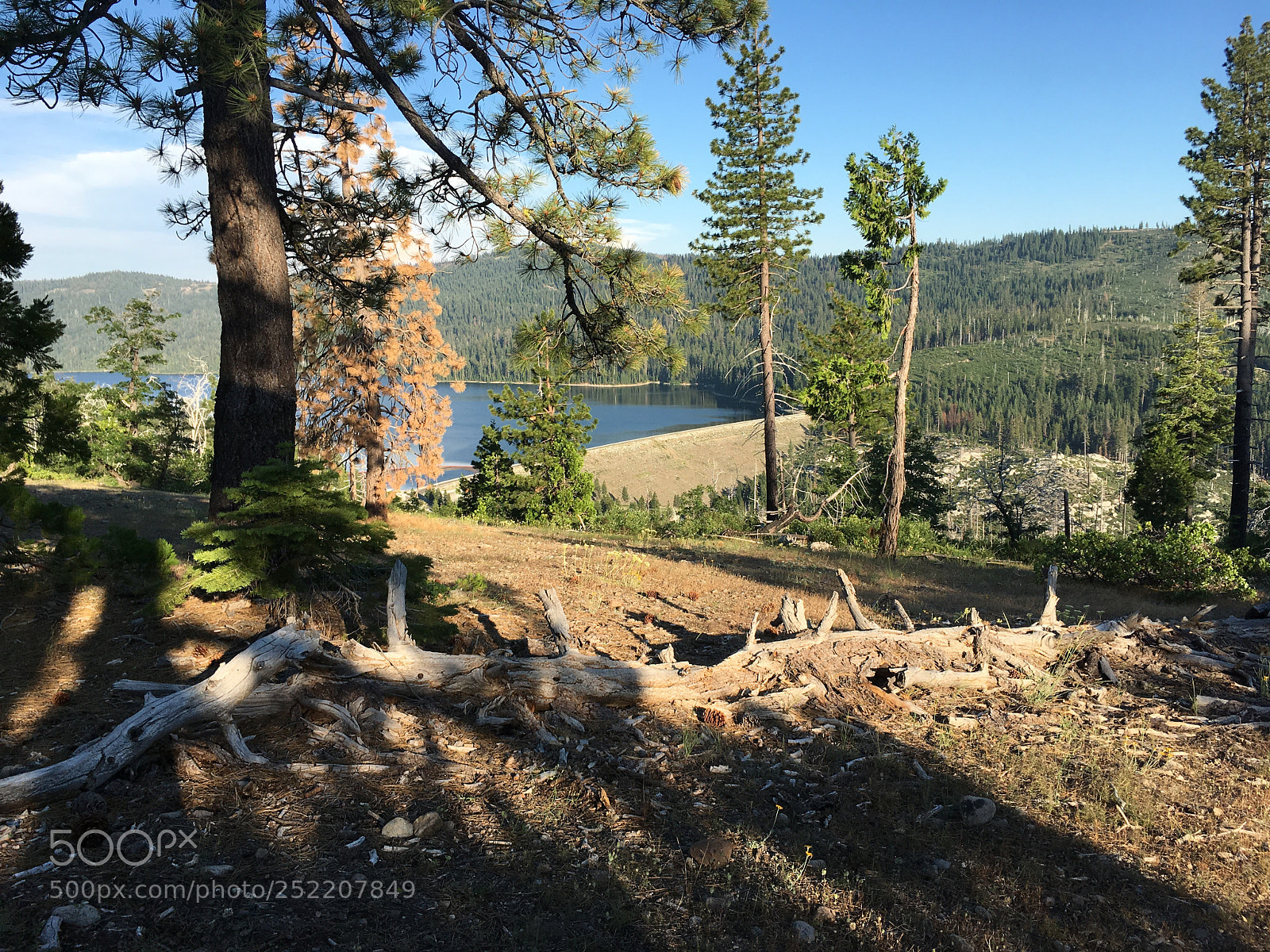 Apple iPhone 6s Plus sample photo. French meadows reservoir photography