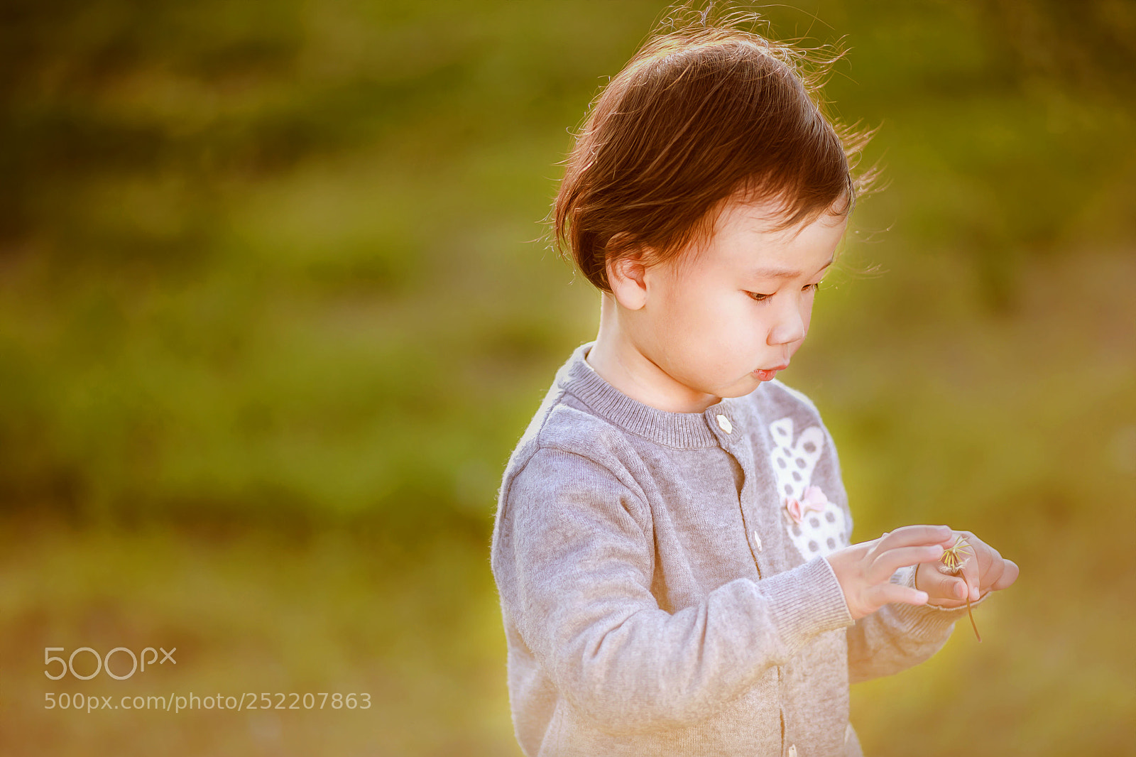 Canon EOS 5D Mark IV sample photo. Untitled photography