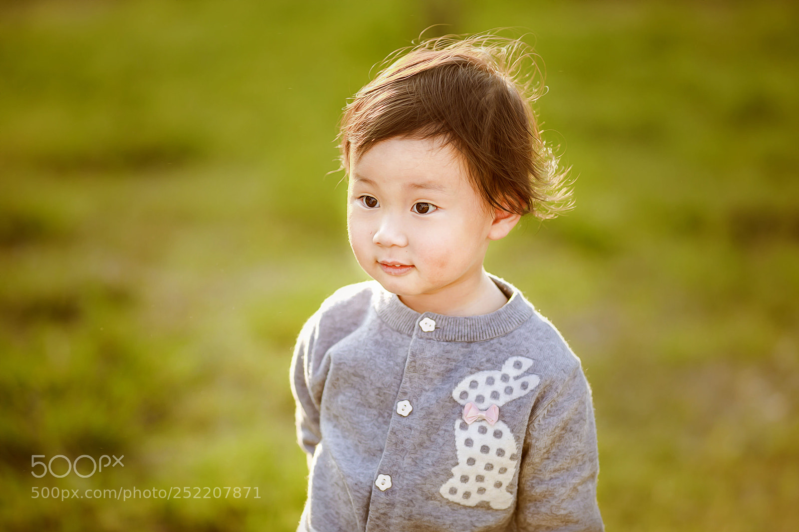 Canon EOS 5D Mark IV sample photo. Untitled photography
