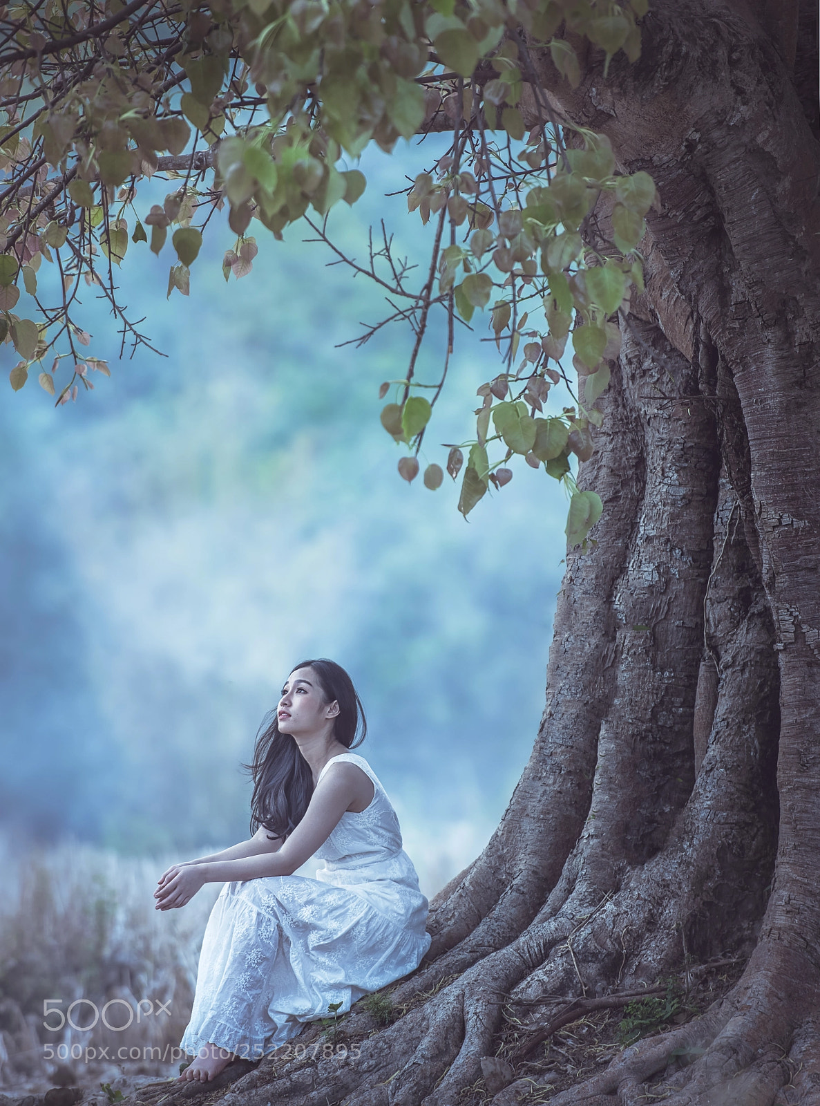 Nikon D810 sample photo. Alone photography