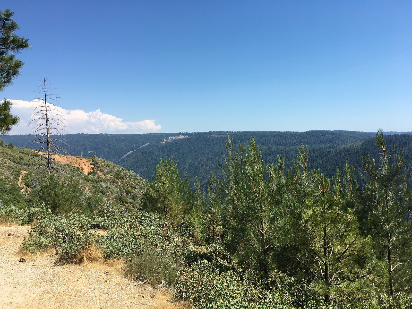 Apple iPhone 6s Plus sample photo. Duncan canyon - vista photography
