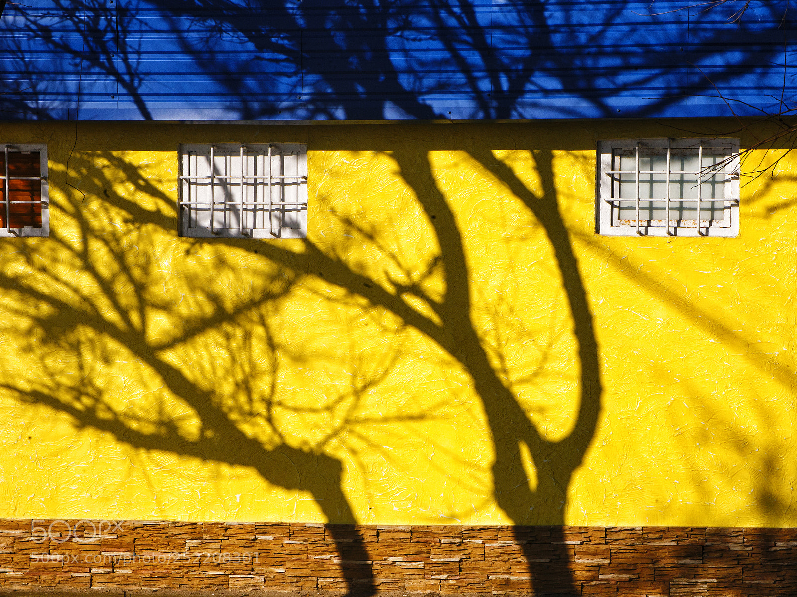 Canon EOS 5D sample photo. Untitled photography