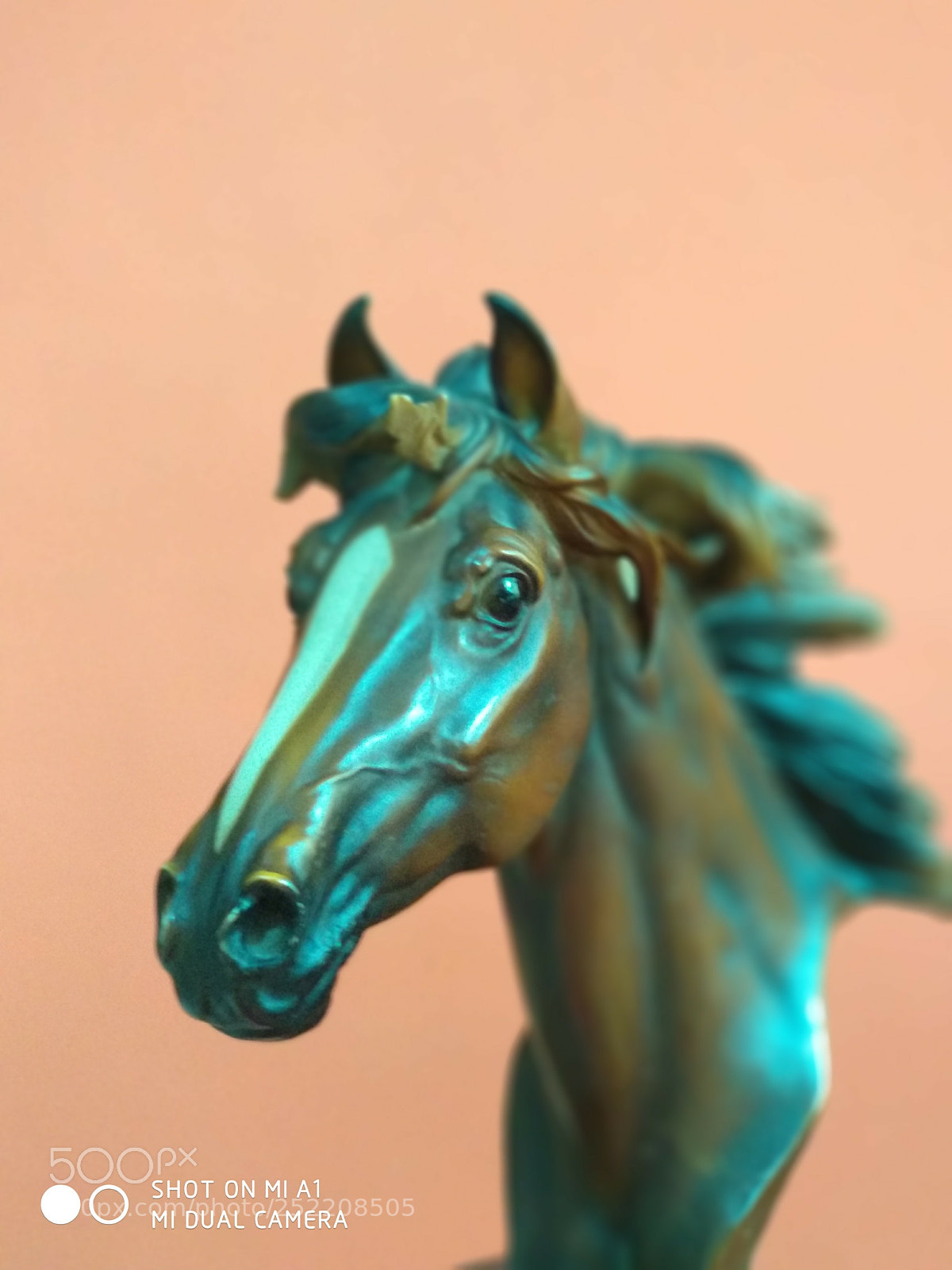 Xiaomi Mi A1 sample photo. The stallion photography