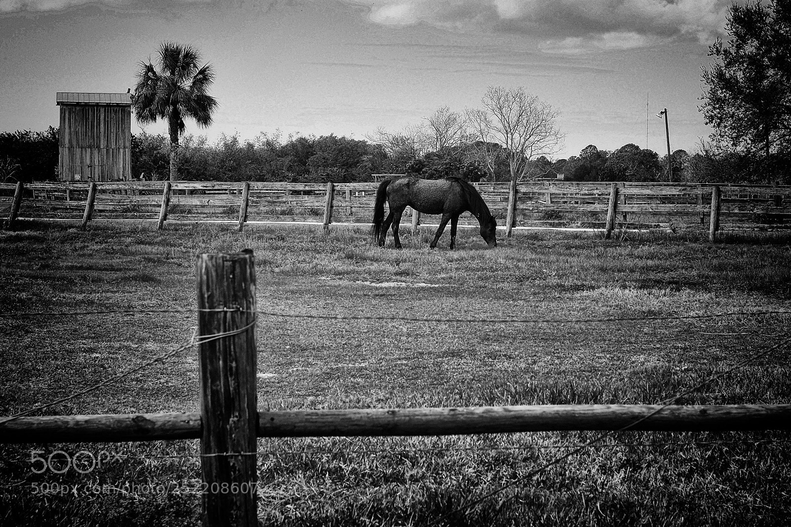 Fujifilm X-E2 sample photo. Out to pasture homestead #4 photography