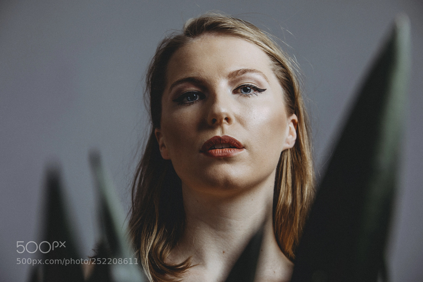 Canon EOS 5D Mark IV sample photo. Sa24 green photography