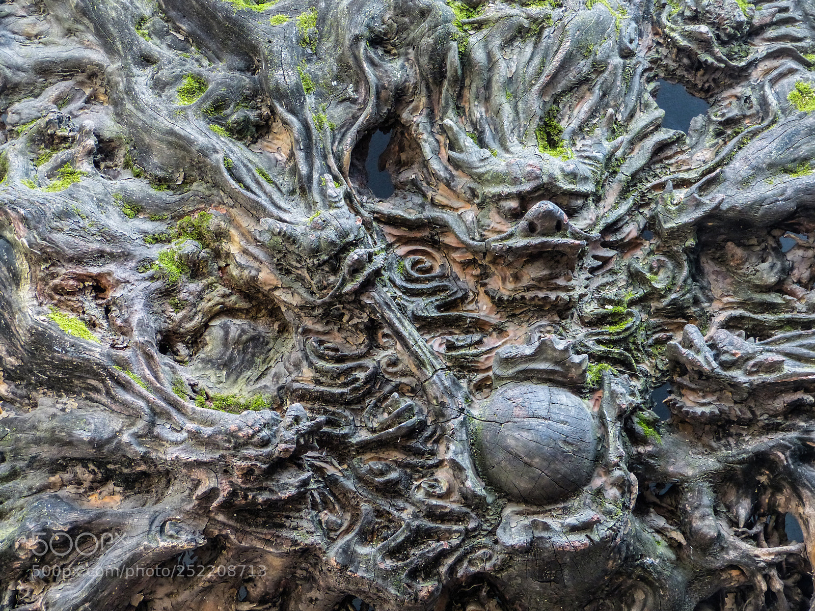 Panasonic Lumix DMC-FZ150 sample photo. Wooden dragon photography