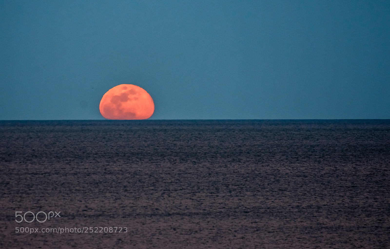 Nikon D7200 sample photo. Moon... photography