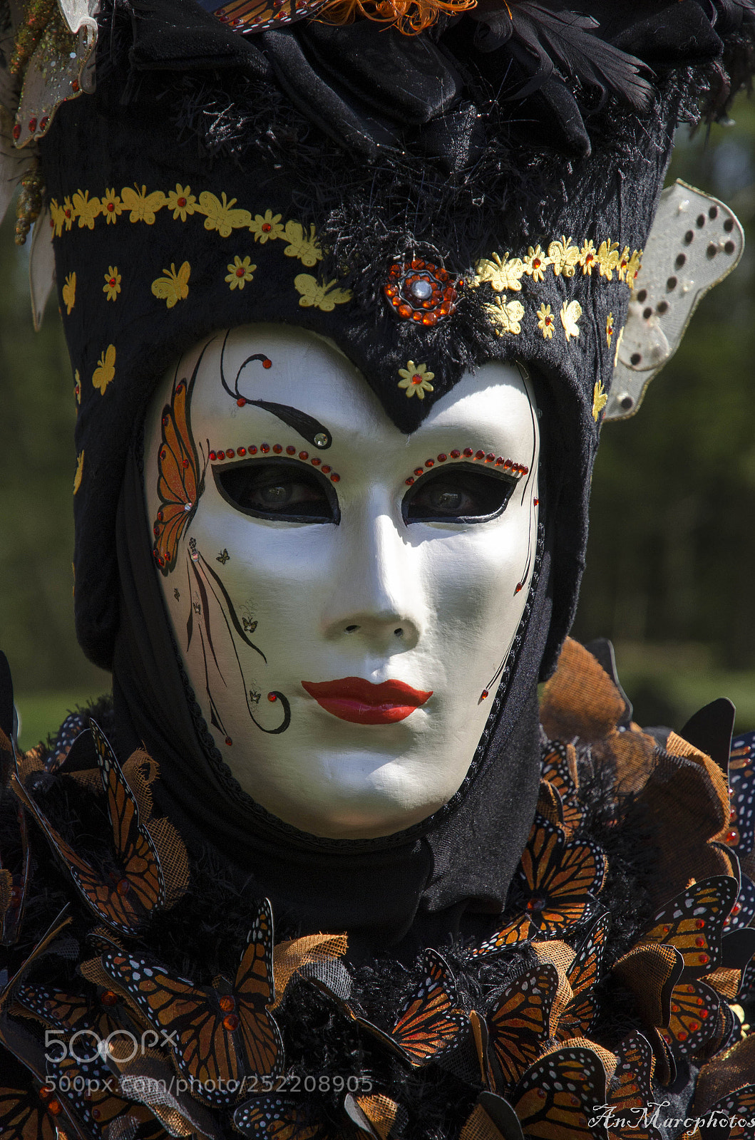 Nikon D7000 sample photo. Carnaval v nitien soisy photography