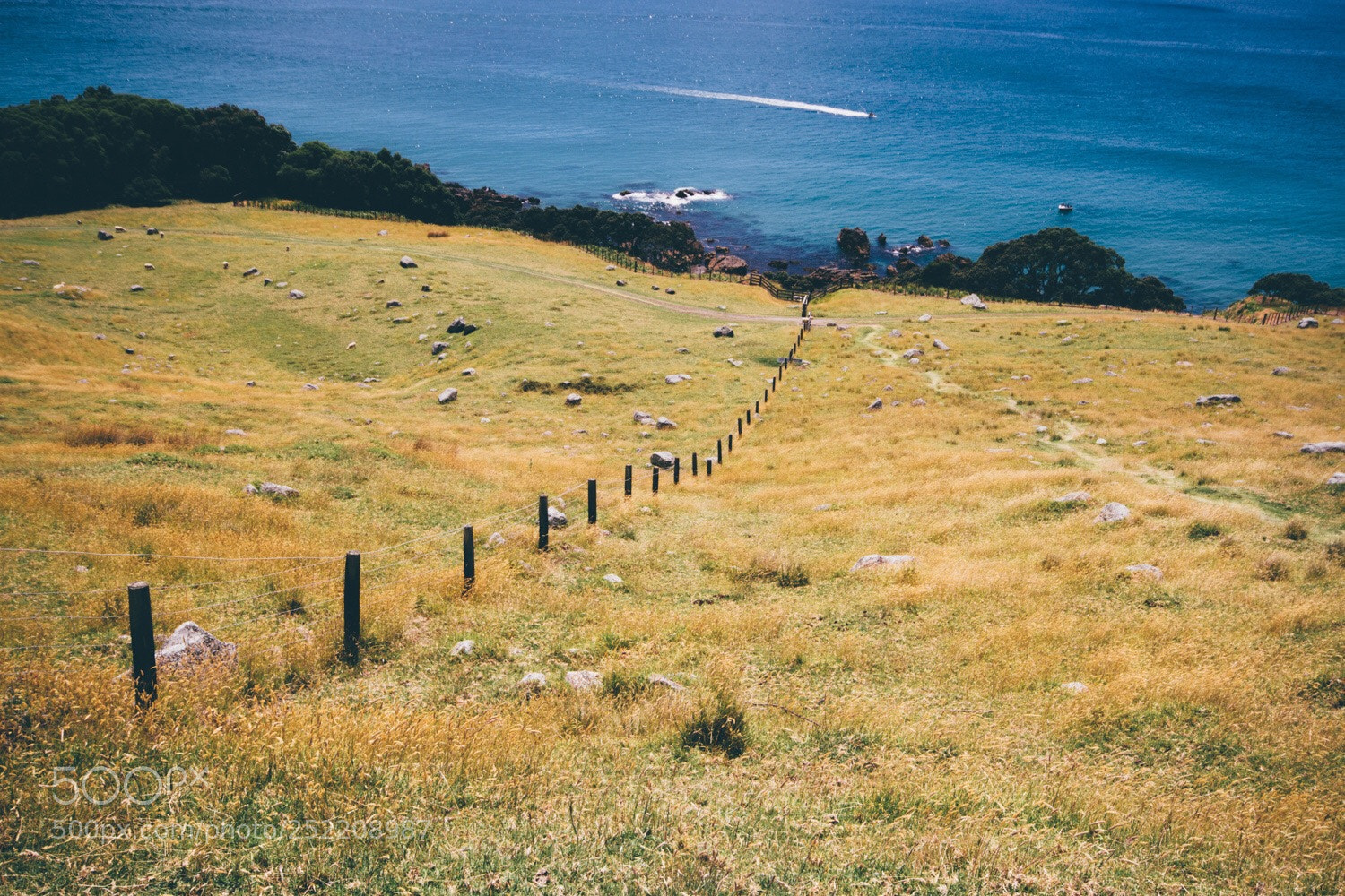 Canon EOS 7D sample photo. Tauranga photography