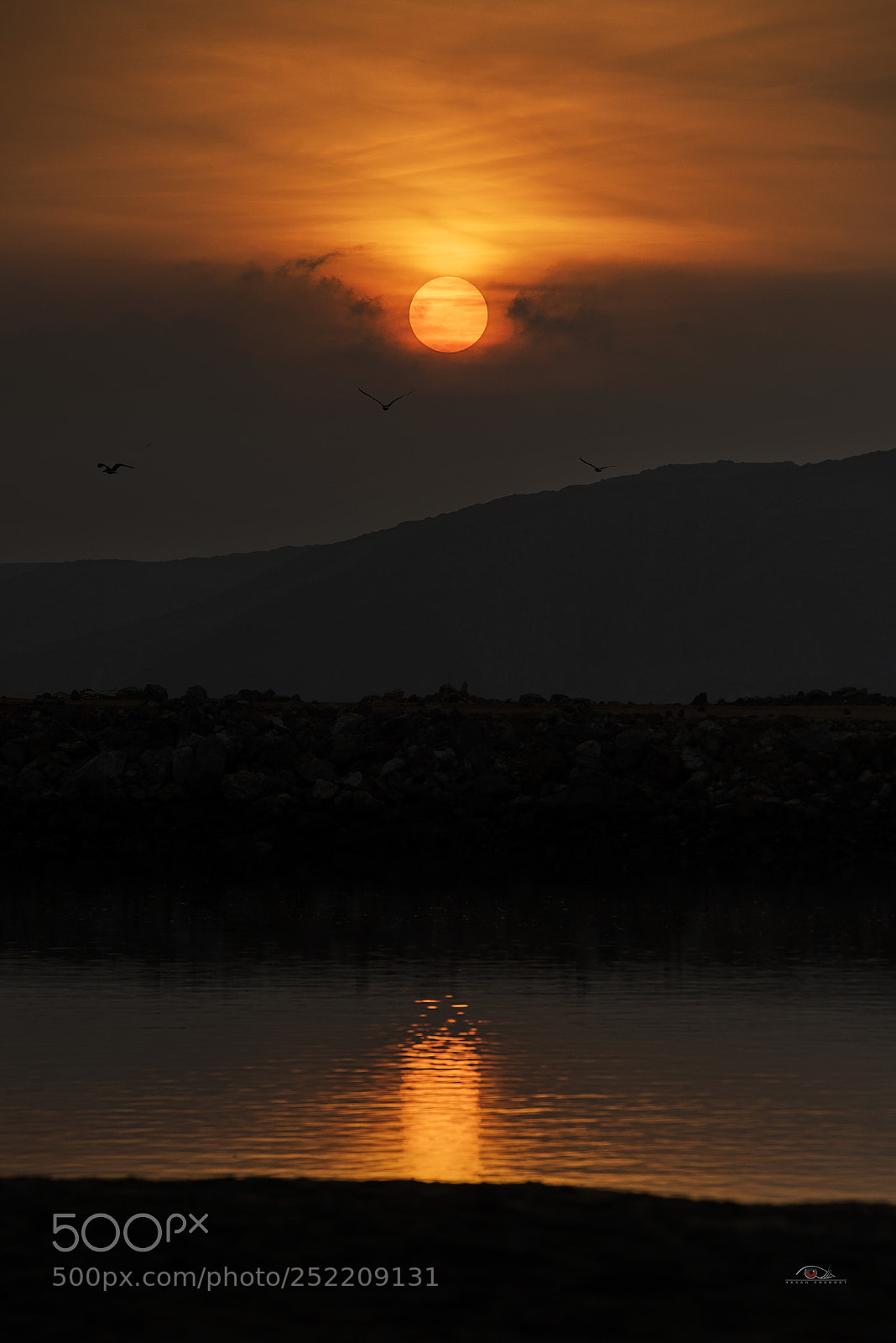 Nikon D750 sample photo. The sunrise of muscat photography