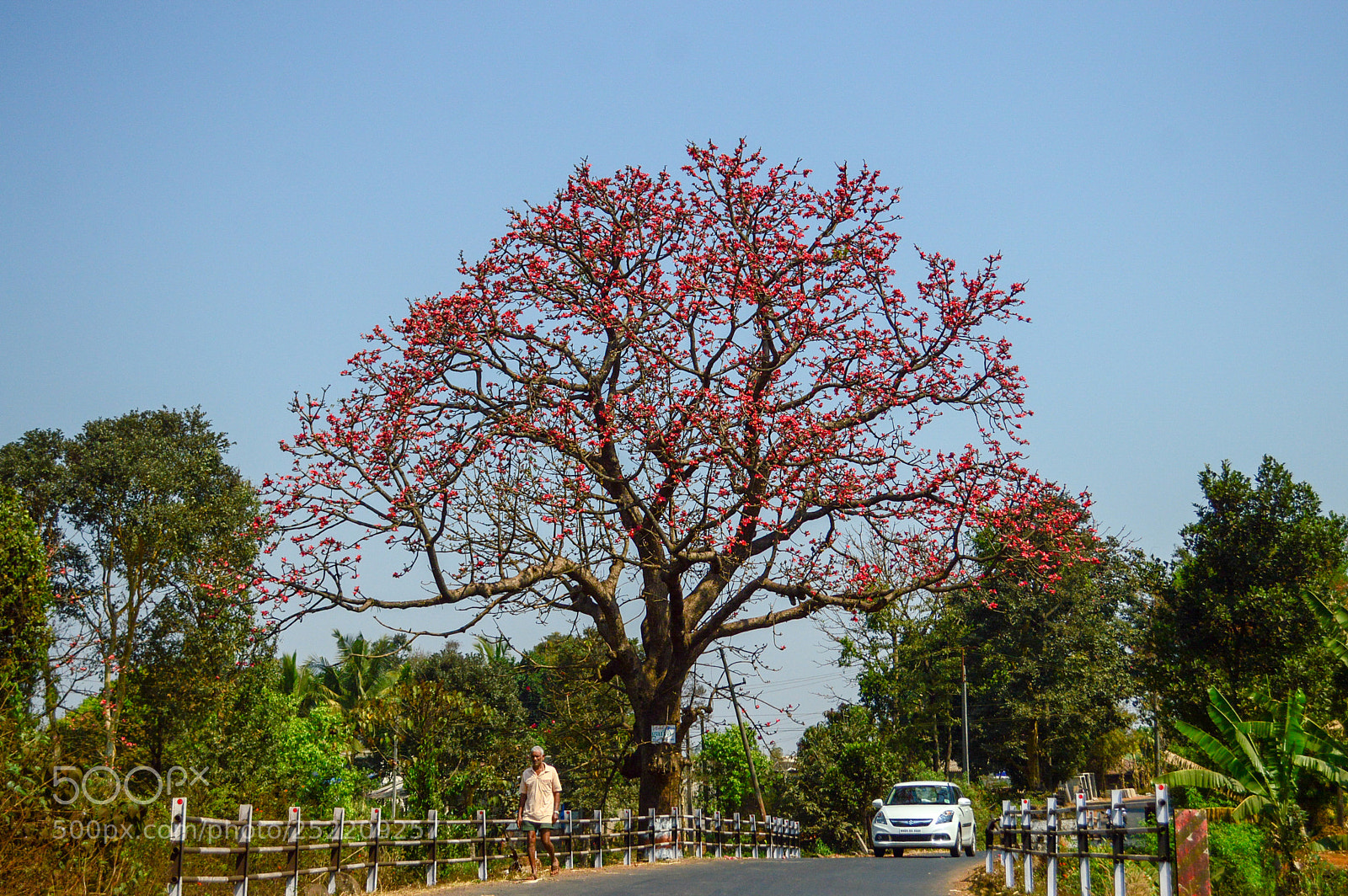 Nikon D3200 sample photo. Life is a colourful photography