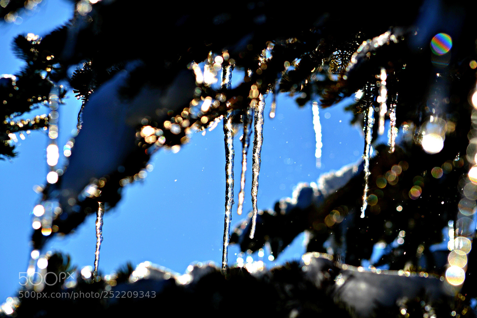 Nikon D3100 sample photo. Icicle wonder photography