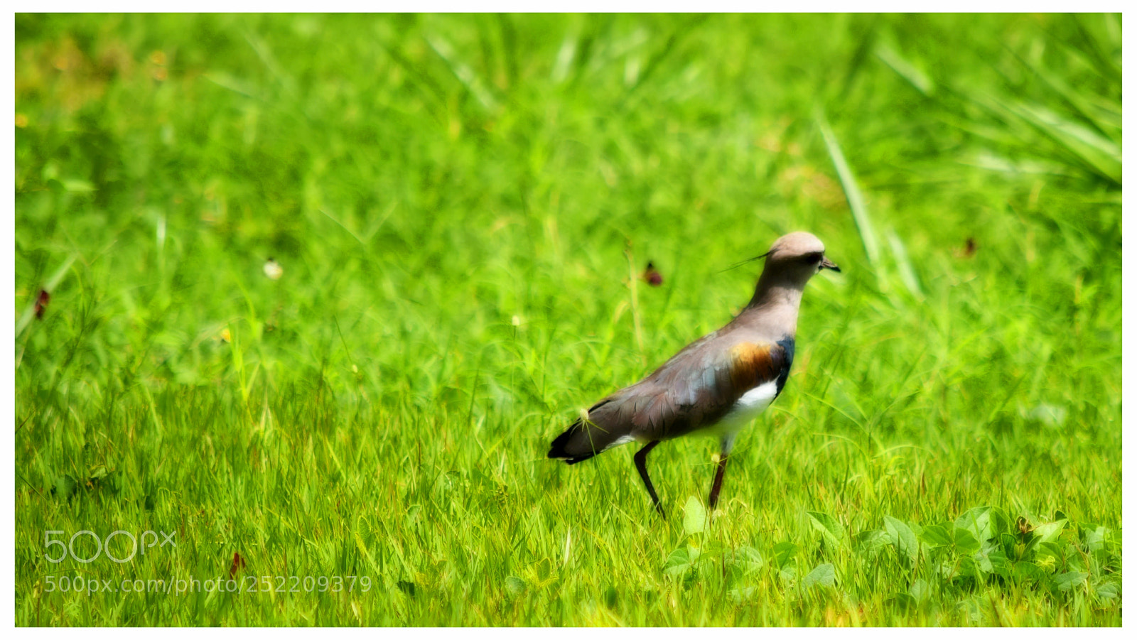 Nikon D5300 sample photo. -quero" ✓ photography