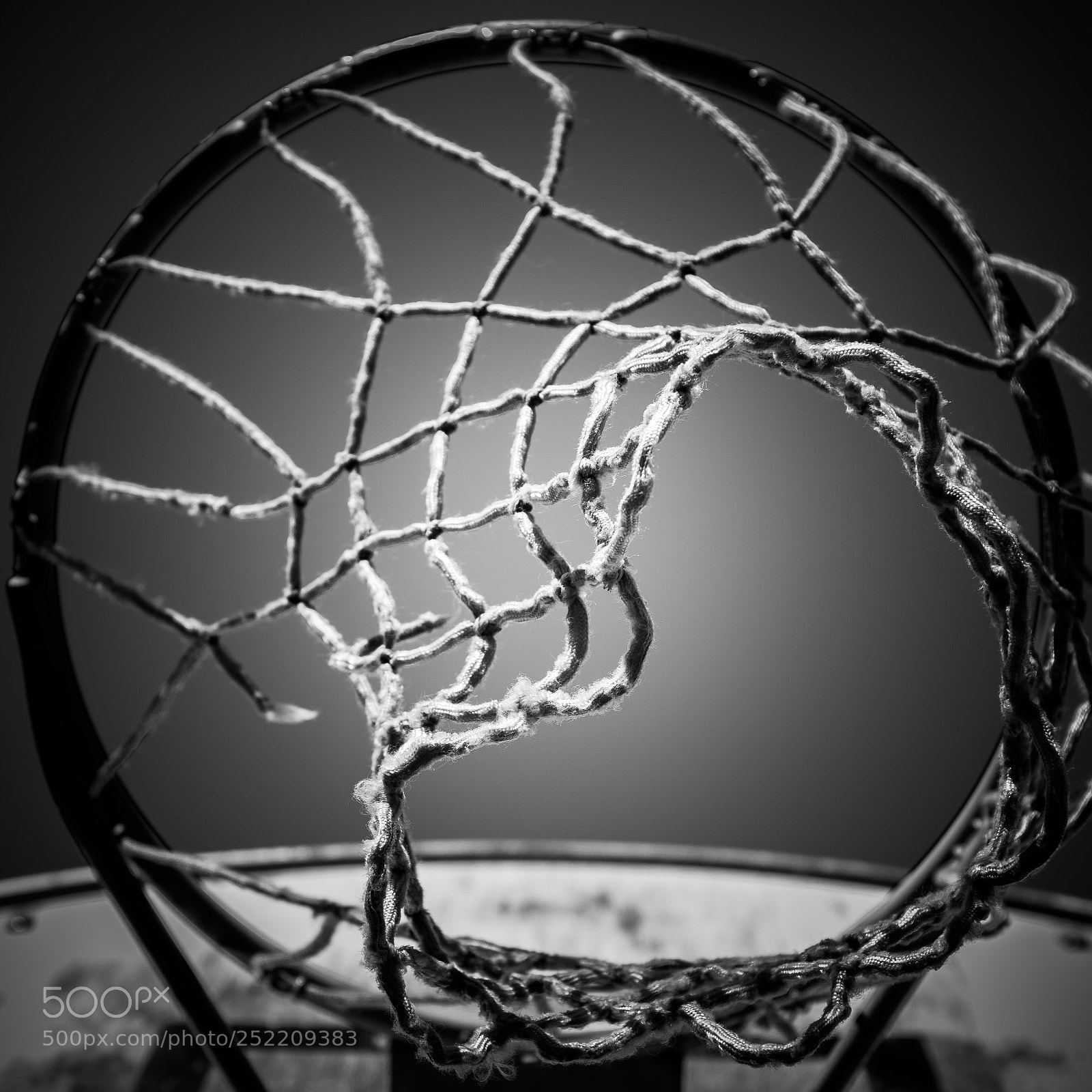 Canon EOS 5D Mark IV sample photo. Basket photography