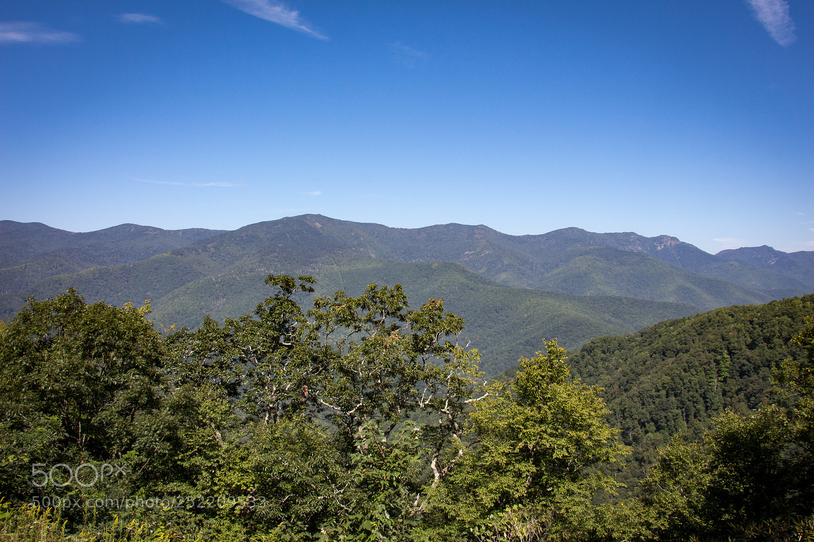Canon EOS 650D (EOS Rebel T4i / EOS Kiss X6i) sample photo. Travelling the parkway photography