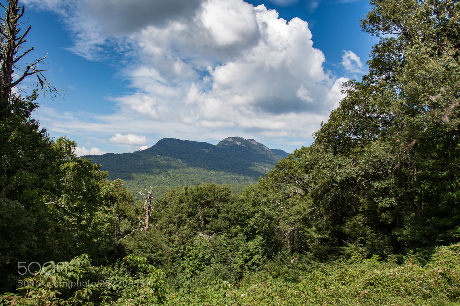 Canon EOS 650D (EOS Rebel T4i / EOS Kiss X6i) sample photo. Travelling the parkway photography