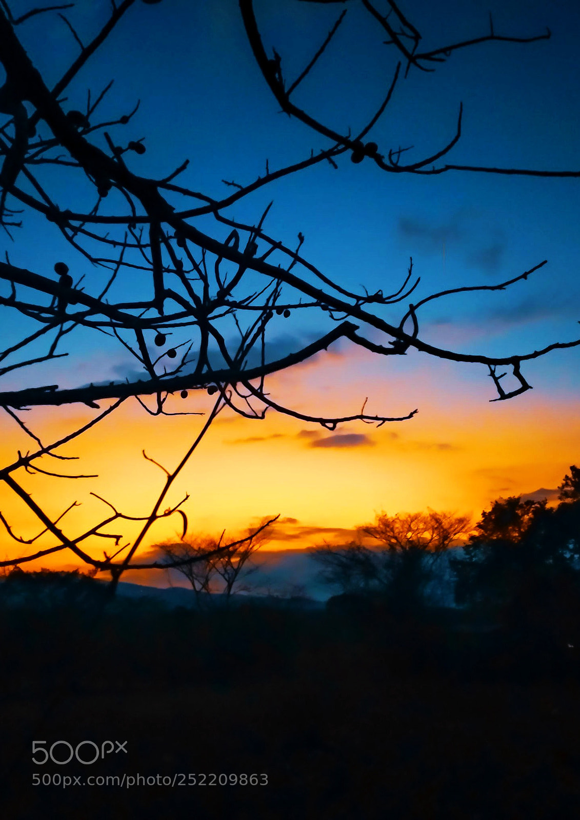 Xiaomi Mi A1 sample photo. Atardeceres en casa de photography