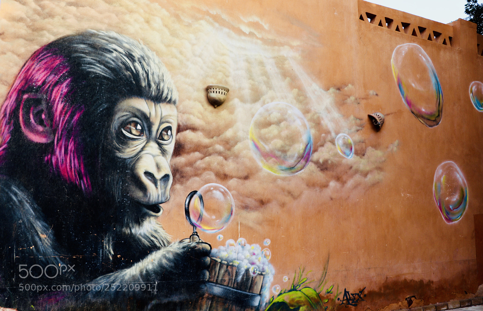 Canon EOS 77D (EOS 9000D / EOS 770D) sample photo. Graffiti art photography