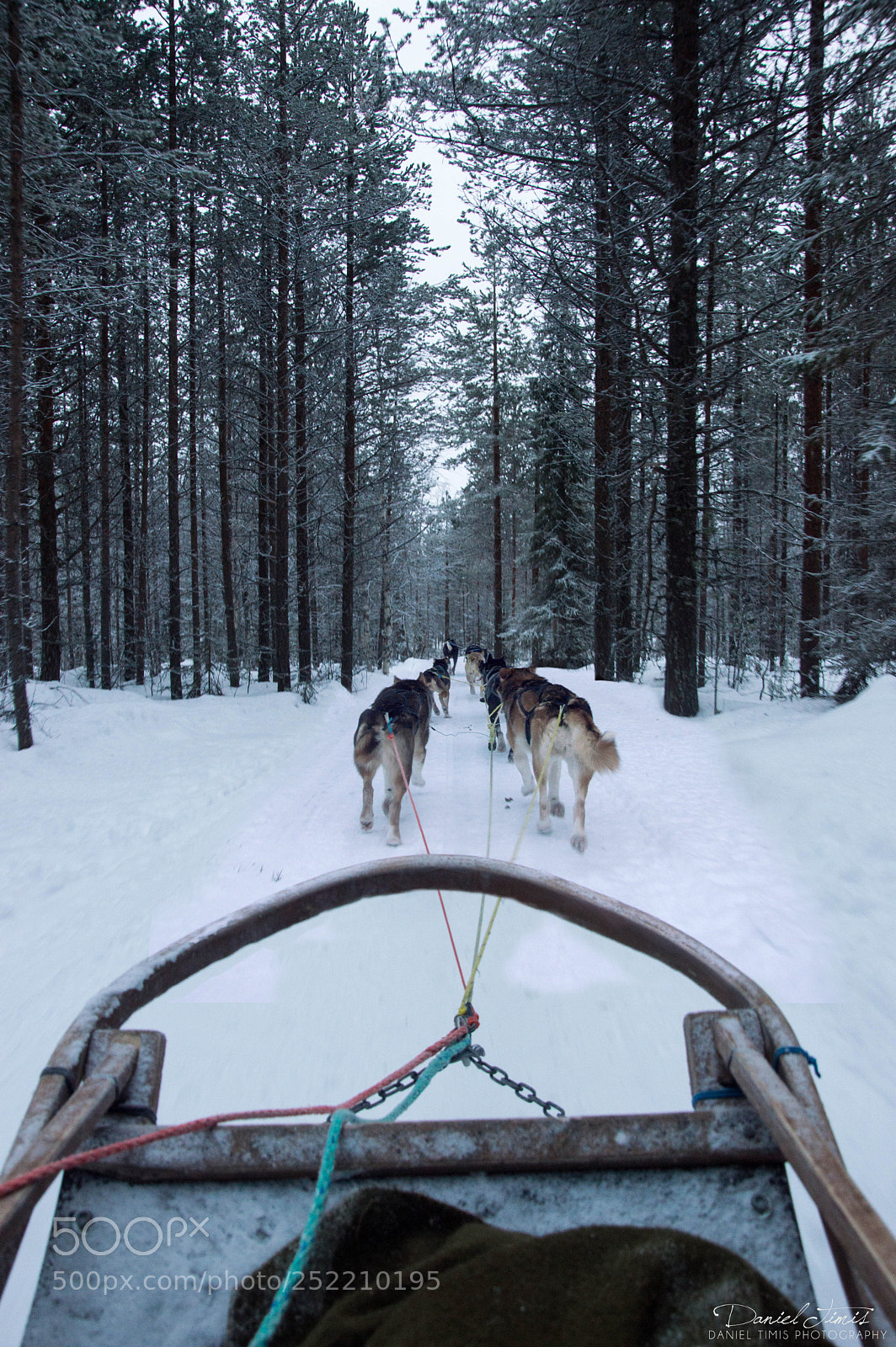 Nikon D3200 sample photo. Finland - lapland photography