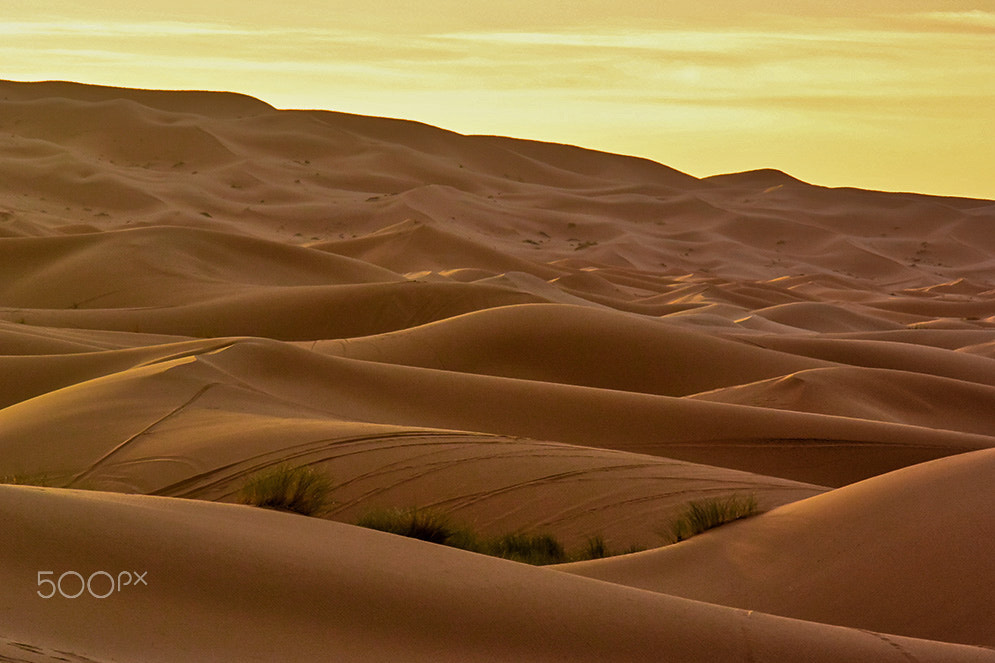 Nikon 1 V3 sample photo. Sensual dunes photography
