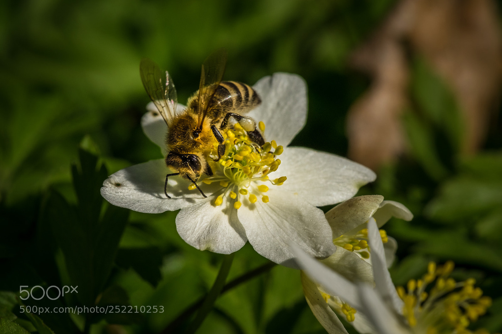 Fujifilm X-T1 sample photo. Sie fliegen wieder photography