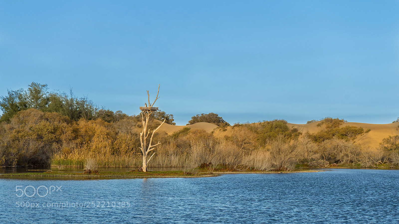 Sony a7S sample photo. Charca de maspalomas photography