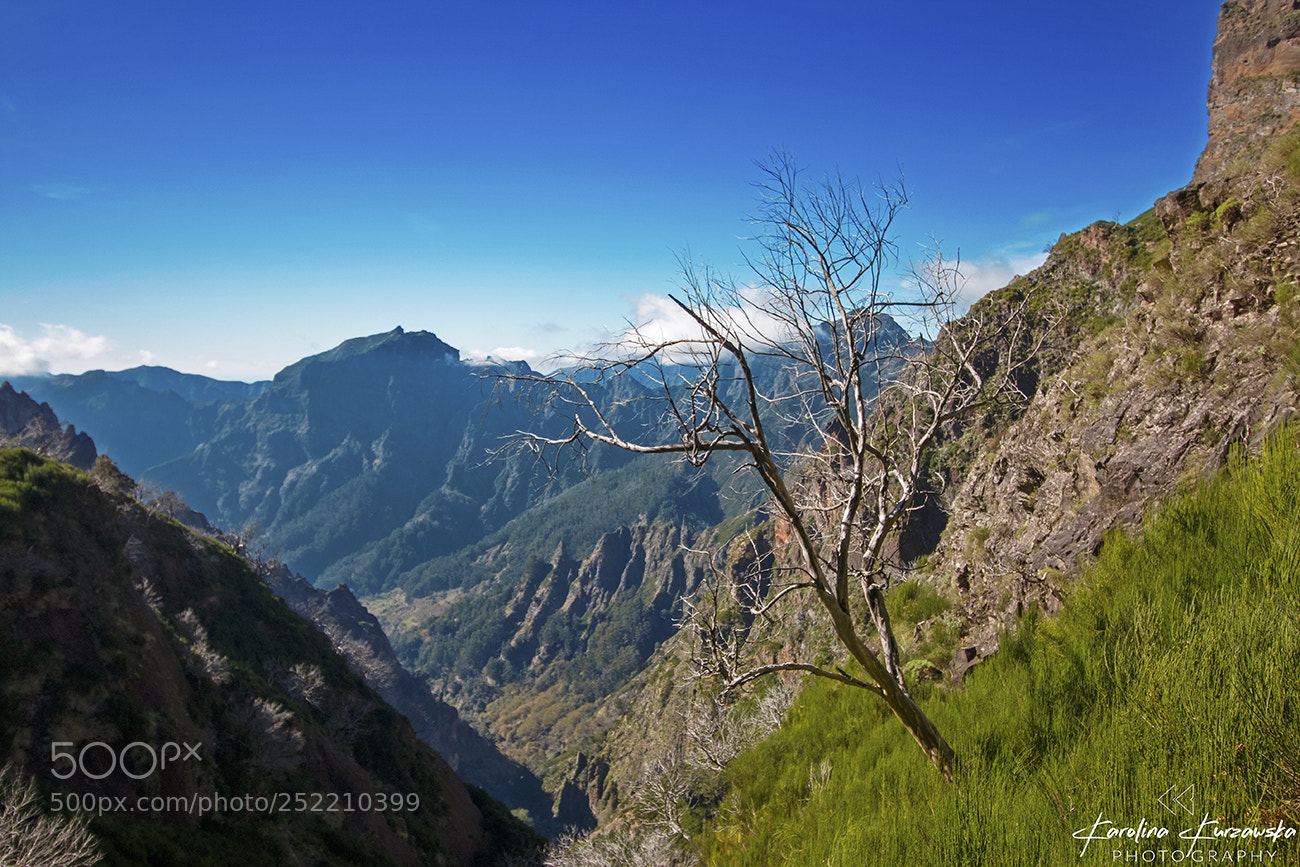 Canon EOS 70D sample photo. Trail from pico do photography