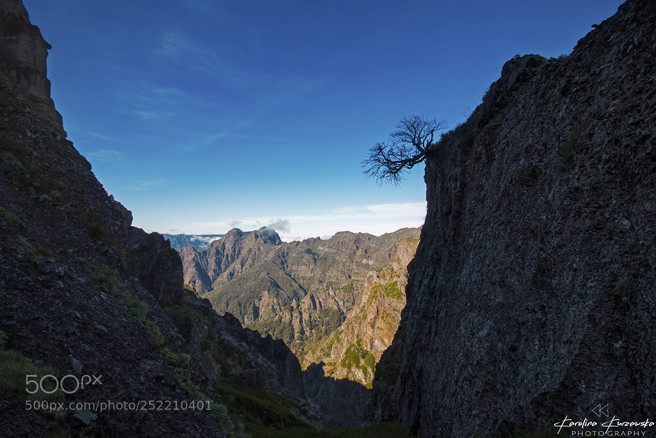 Canon EOS 70D sample photo. Trail from pico do photography