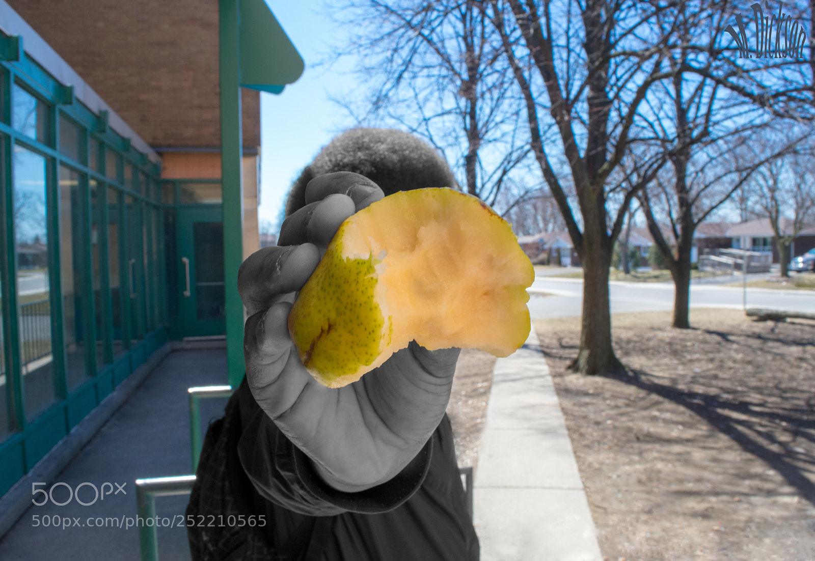 Nikon D3400 sample photo. Pear photography