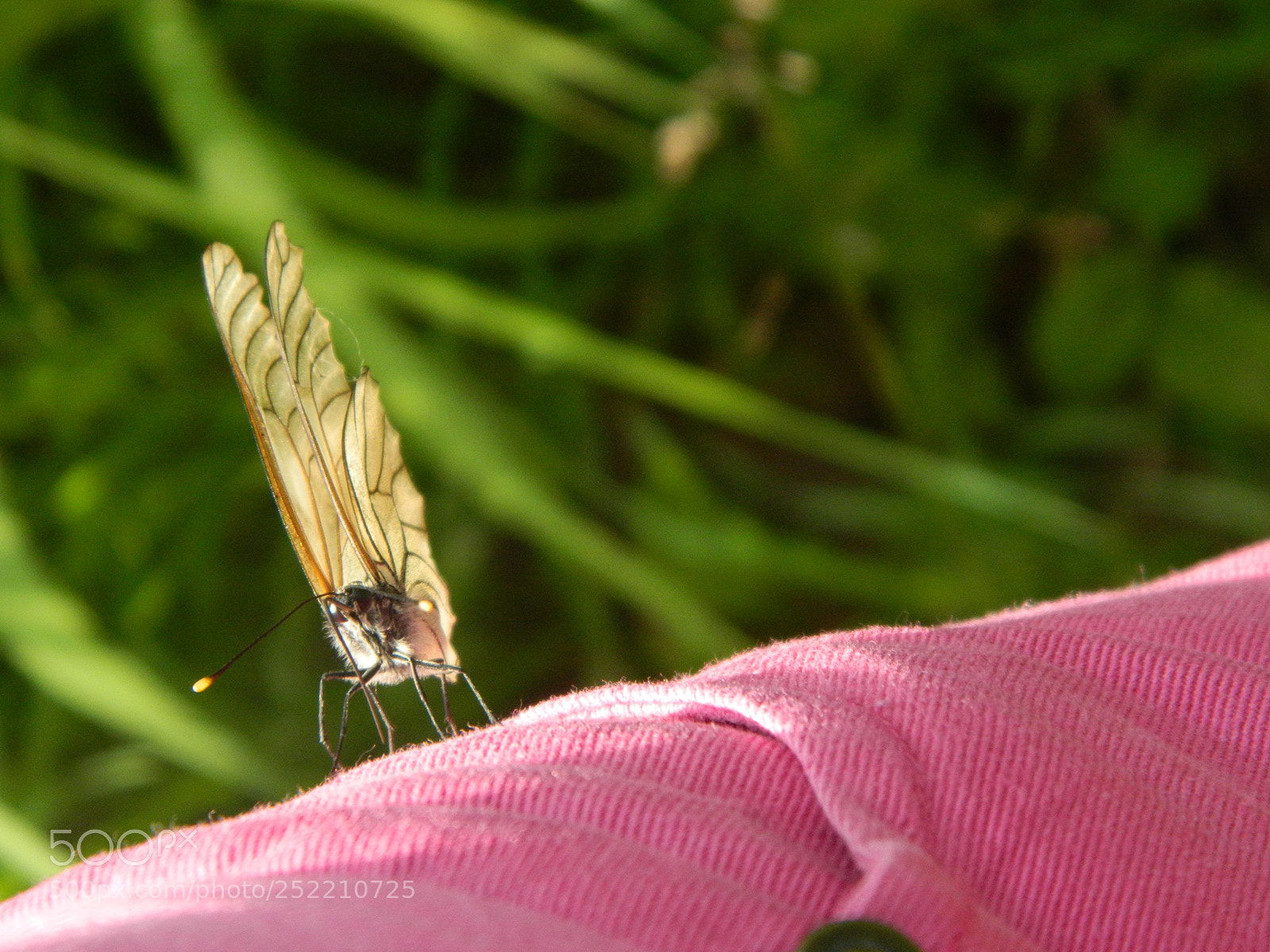 Nikon Coolpix L120 sample photo. Untitled photography