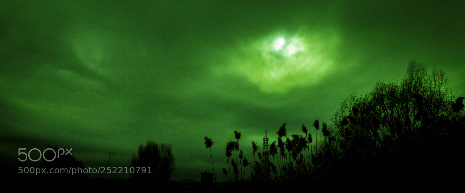 Canon EOS 700D (EOS Rebel T5i / EOS Kiss X7i) sample photo. Day of the necromancer photography