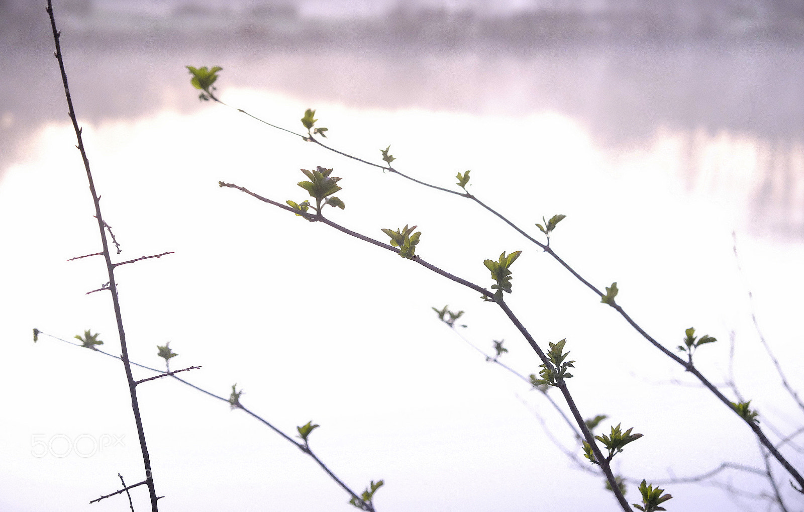 Fujifilm X-T10 sample photo. Morning is coming photography