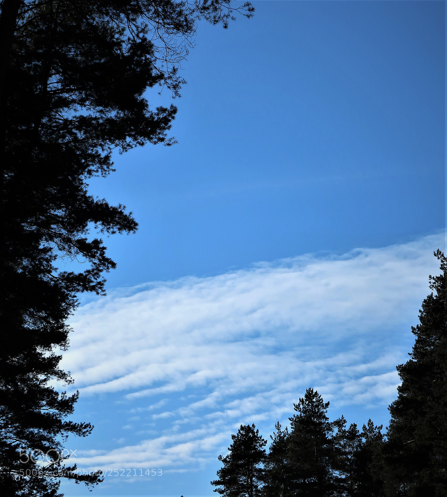 Canon PowerShot G9 X Mark II sample photo. (cloud) photography